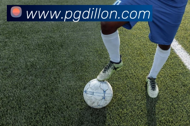 pg电子平台生态图